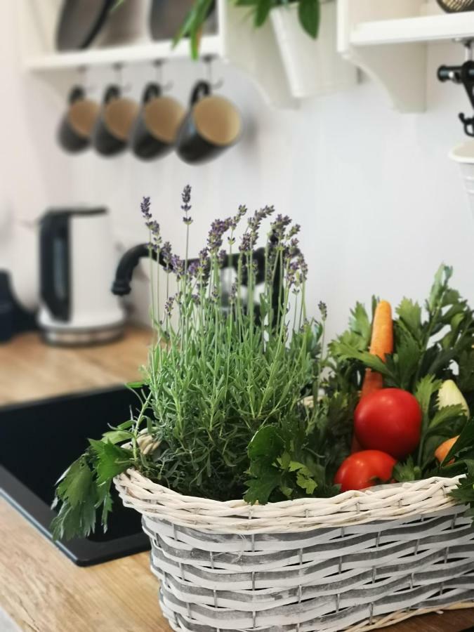 SPA LOVE APARTAMENT SAUNA JACUZZI Romantyczny apartament dla zakochanych Zielona Góra Zewnętrze zdjęcie